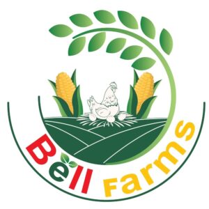 ( Le gerant )L'expertise de l'equipe de 3S en comptabilité m'a permis de mieux gérer mes finances. Je me sens beaucoup plus en confiance pour prendre des décisions stratégiques